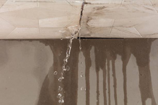 Professional Water Damage Repair technician working in Campbellsburg, KY